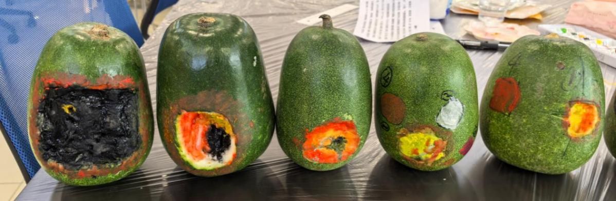 aa1092fdc2bc6431493bf22792871931